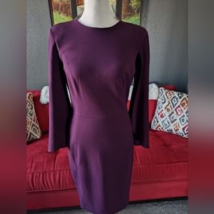 Calvin Klein Sheath dress Size 2 Purple Wine